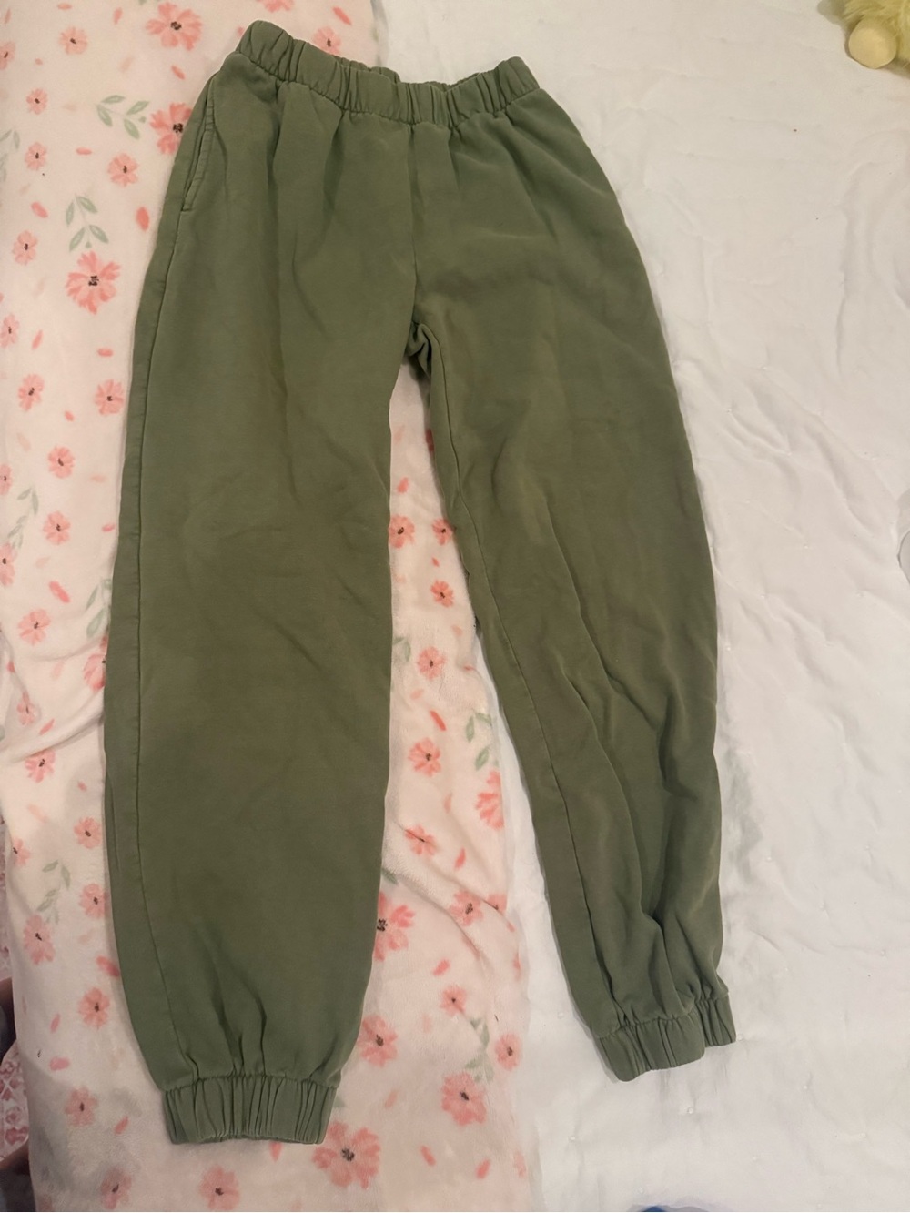 Brandy Melville matcha green sweat pants
